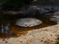Kbal Speal ou la rivière aux 1000 lingas