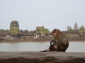 Angkor Wat