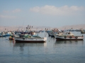 Paracas, ses bateaux de pêcheur et leurs oiseaux squatteurs