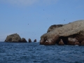 Iles Ballestas, on s'approche !