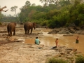 Tad lo - la baignade des éléphants