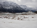Excursion sur le glacier Los Exploradores