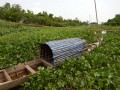 Chau Doc - tour en bateau
