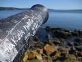 Ancud - Canon "Hakuna Matata"