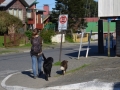Ancud - Virginie et son escorte canine