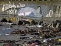Ancud - "Cet Archipèle est magique. Ta poubelle, non!"