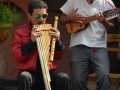 Instruments locaux