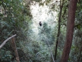 Zipline