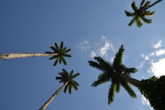 Ilha Grande
