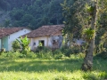 Dois Rios - Maisons sous les palmiers