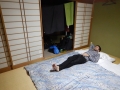 Se loger - Namaste Guesthouse à Kanazawa, chambre traditionnelle avec tatamis et futons