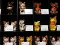 Magasin de porcelaine - Lucky cats