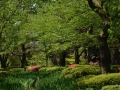 Jardin Kenroku-en