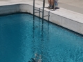 21st Century Museum - Piscine de Leandro Erlich