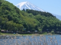Le mont Fuji