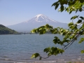 Le mont Fuji