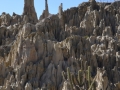 Valle de la Luna