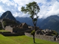 Machu Picchu - Place centrale