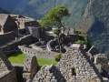 Machu Picchu - Maisons
