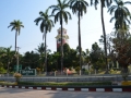 Palmiers et clock tower