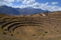 Moray