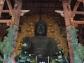 Parc de Nara - Todaiji temple et son bouddha géant