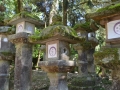 Parc de Nara