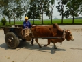 Autre moyen de transport