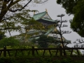 Osaka castle