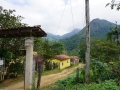 Montagne verdoyante