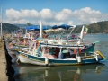 Petits bateaux mignons de Paraty