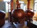 Visite de la distillerie de Paratania