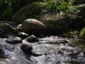 Au détour de la rivière