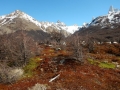 El Chalten - Vers Le Lago de los tres