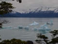 El Calafate - Glaçons perdus