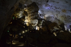 Phong Nha