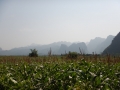 Les alentours de Phong Nha