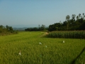 Les alentours de Phong Nha