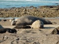 Isla Escondita - Photo de famille