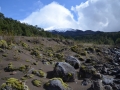 Parque nacional Vicente Perez Rosales, volcan Osorno - coulée volcanique "Peripillan"