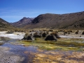 Sajama - Geysers