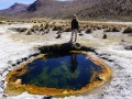 Sajama - Virginie devant un geyser