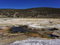 Sajama - Geyser