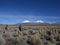 Sajama - En route !