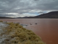 J2 - Laguna Colorado