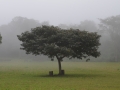 El Fuerte, le brouillard va et vient