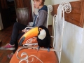Santa Cruz - Toucan de garde