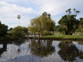 Royal botanic garden