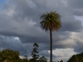 Royal botanic garden