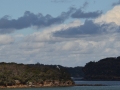 Manly scenic walkway